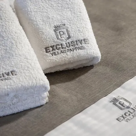 Πανσιόν Exclusive Pappas Σάρτη